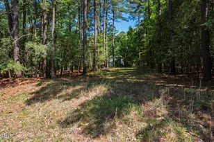 7 Twin Lakes Rd, Pittsboro, NC 27312 - Photo 41