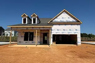 843 Old Station Pointe, Angier, NC 27501 - Photo 3