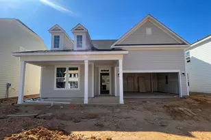 843 Old Station Pointe, Angier, NC 27501 - Photo 3