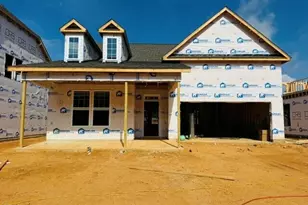 843 Old Station Pointe, Angier, NC 27501 - Photo 3