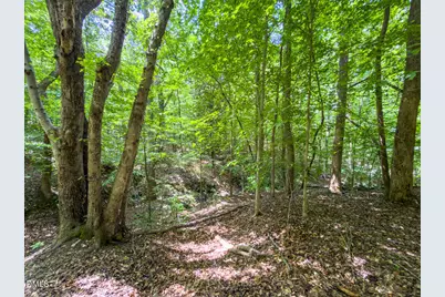 0 Park Springs Road, Providence, NC 27326 - Photo 23