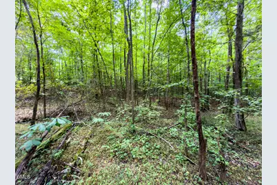 0 Park Springs Road, Providence, NC 27326 - Photo 7