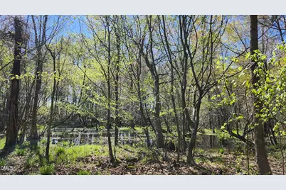 452 Brodie Rose Landing Way, Smithfield, NC 27577 - Photo 45