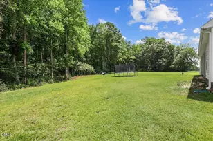 111 Oakbridge Wy, Princeton, NC 27569 - Photo 35