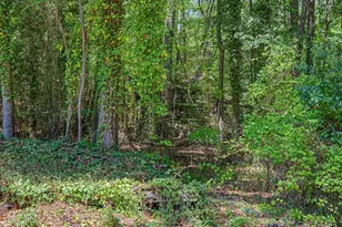 2509 Farrington Point Rd, Chapel Hill, NC 27517 - Photo 37