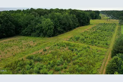 19.2 Acres Bunnlevel Erwin Road, Erwin, NC 28339 - Photo 23