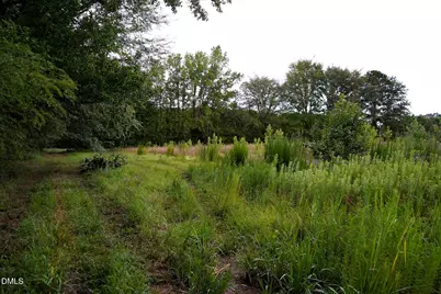 19.2 Acres Bunnlevel Erwin Road, Erwin, NC 28339 - Photo 29