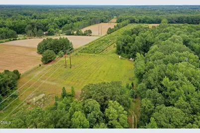 19.2 Acres Bunnlevel Erwin Road, Erwin, NC 28339 - Photo 5