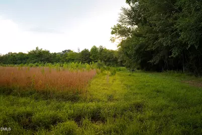 19.2 Acres Bunnlevel Erwin Road, Erwin, NC 28339 - Photo 31