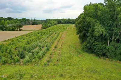 19.2 Acres Bunnlevel Erwin Road, Erwin, NC 28339 - Photo 17