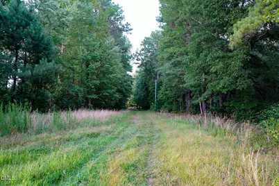 19.2 Acres Bunnlevel Erwin Road, Erwin, NC 28339 - Photo 9