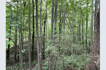 179 S Sunset Drive, Littleton, NC 27850 - Photo 9