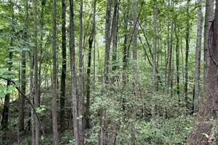 179 S Sunset Dr, Littleton, NC 27850 - Photo 9