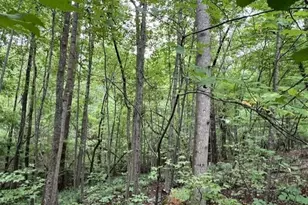 179 S Sunset Dr, Littleton, NC 27850 - Photo 11