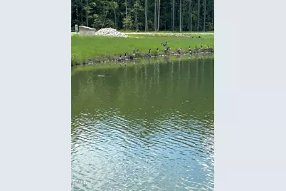 40 Bealy Farm Road, Zebulon, NC 27597 - Photo 13