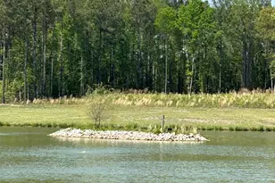 40 Bealy Farm Rd, Zebulon, NC 27597 - Photo 11