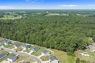 4226 Stanfield Ct, Ayden, NC 28513 - Photo 35