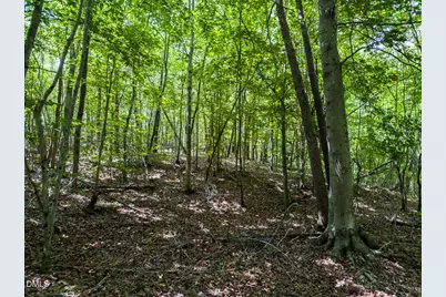 0 Park Springs Road, Providence, NC 27326 - Photo 23