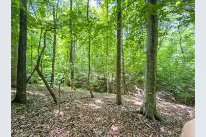 0 Park Springs Road, Providence, NC 27326 - Photo 33