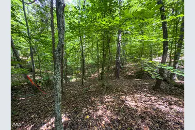 0 Park Springs Road, Providence, NC 27326 - Photo 13