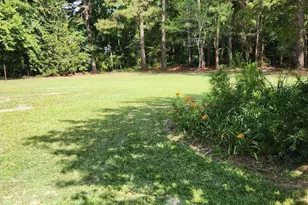 121 Old Moore Rd, Selma, NC 27576 - Photo 21
