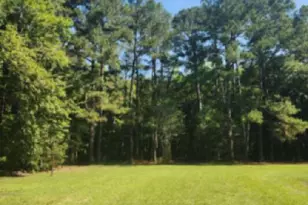 121 Old Moore Rd, Selma, NC 27576 - Photo 23