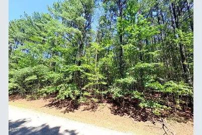 0 Pool Rock Plantation Lane, Henderson, NC 27537 - Photo 9