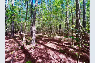 0 Pool Rock Plantation Lane, Henderson, NC 27537 - Photo 1