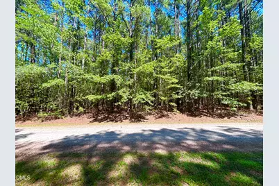 0 Pool Rock Plantation Lane, Henderson, NC 27537 - Photo 3