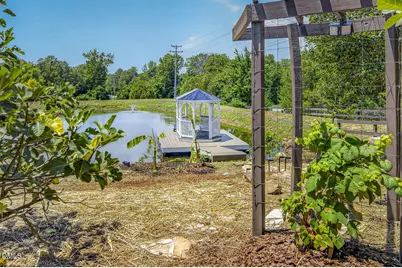 4811 New Sharon Church Road, Hillsborough, NC 27278 - Photo 75