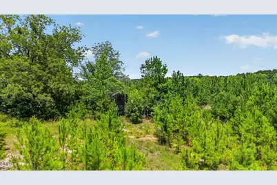 Tbd Hicksboro Road, Henderson, NC 27537 - Photo 9