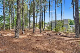 8617 Malahar Lane, Angier, NC 27501 - Photo 29