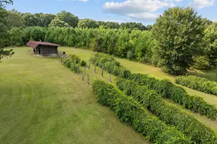 504 Parks Village, Zebulon, NC 27597 - Photo 67