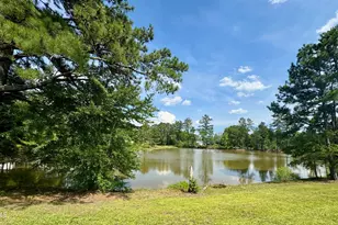 288 Allesandra Dr, Clayton, NC 27527 - Photo 75