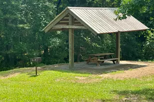 288 Allesandra Dr, Clayton, NC 27527 - Photo 77