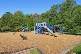 226 Castle Hayne Dr, Cary, NC 27519 - Photo 49
