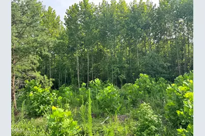 2 Gray Road, Timberlake, NC 27583 - Photo 15
