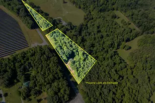 9189 Snow Camp Rd, Snow Camp, NC 27349 - Photo 1
