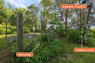 258 Country Day Cir, Selma, NC 27576 - Photo 81