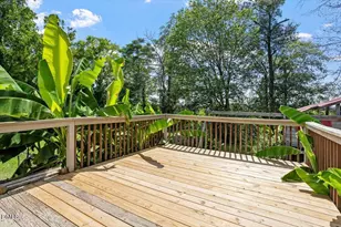 258 Country Day Cir, Selma, NC 27576 - Photo 33