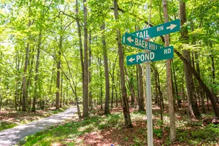 4407 Baer Hill Rd, Efland, NC 27243 - Photo 51