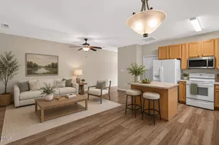 295 Plaza Dr, Chapel Hill, NC 27517 - Photo 13