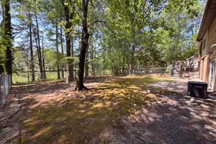 2560 Mangum Ave, Creedmoor, NC 27522 - Photo 17