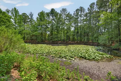 6904 St Marys Road, Hillsborough, NC 27278 - Photo 57