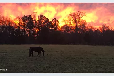 146 Hoke Brooks Road, Siler City, NC 27344 - Photo 17