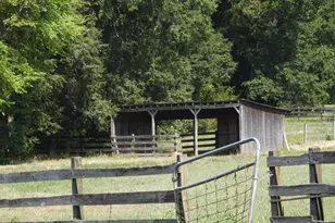 146 Hoke Brooks Rd, Siler City, NC 27344 - Photo 89