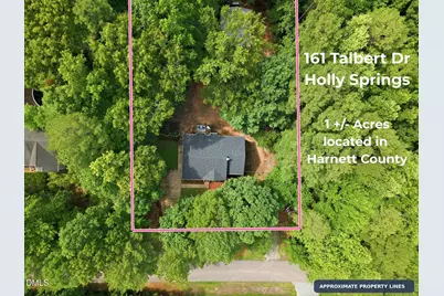 161 Talbert Drive, Holly Springs, NC 27540 - Photo 33