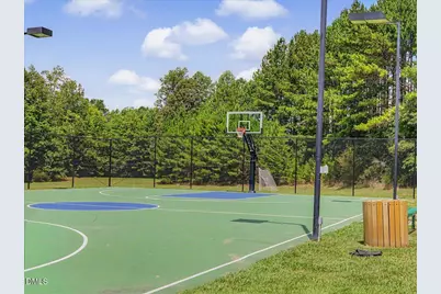 53 Spring Hollow Court, Pittsboro, NC 27312 - Photo 53