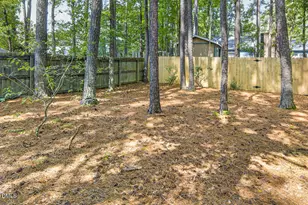506 Ryan Rd, Cary, NC 27511 - Photo 53