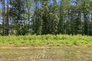 180 Everglade Wy, Angier, NC 27501 - Photo 27